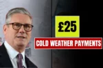 £25 Cold Weather Payments